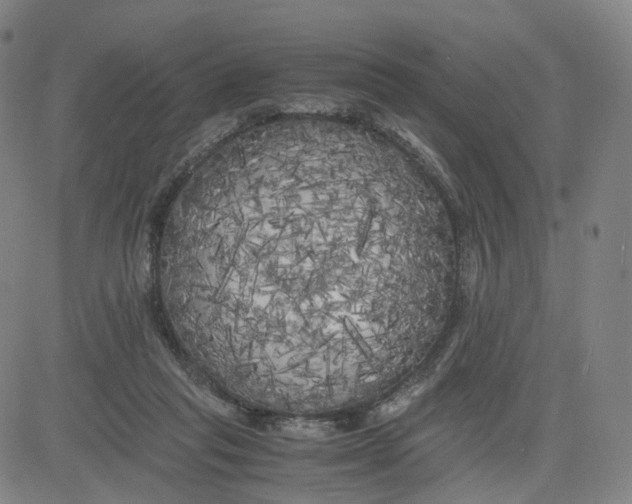 X0000080700261200701050952