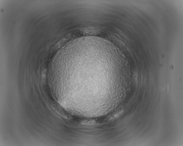 X0000080700271200701050952
