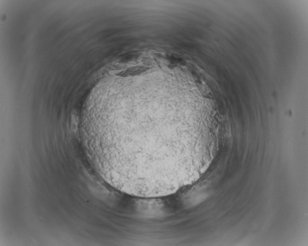 X0000080700281200701050952