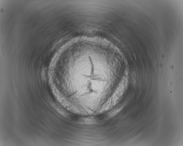 X0000080700286200701050952