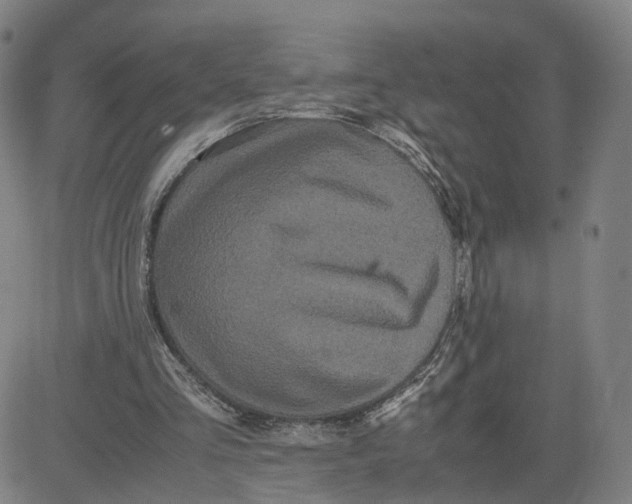 X0000080700293200701050951