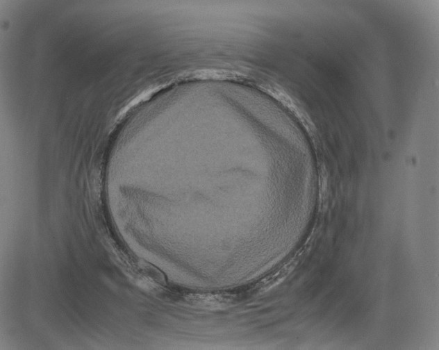 X0000080700297200701050951
