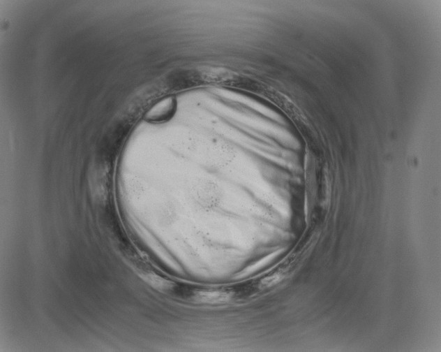 X0000080700319200701050951