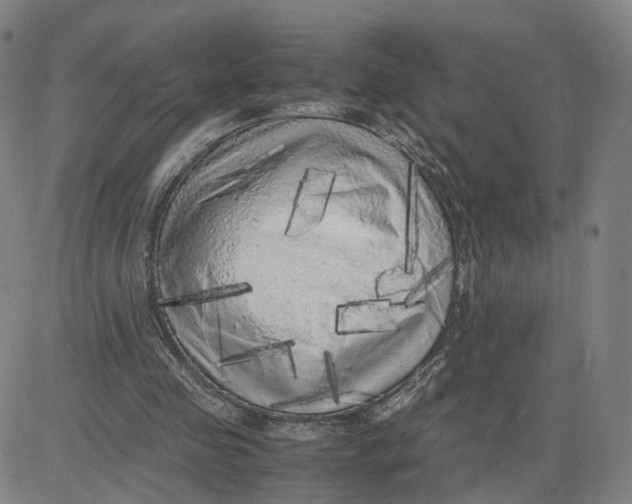 X0000080700341200701050950