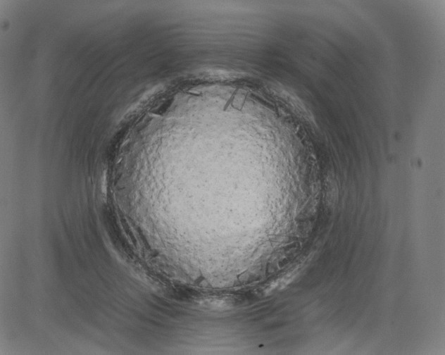 X0000080700358200701050950