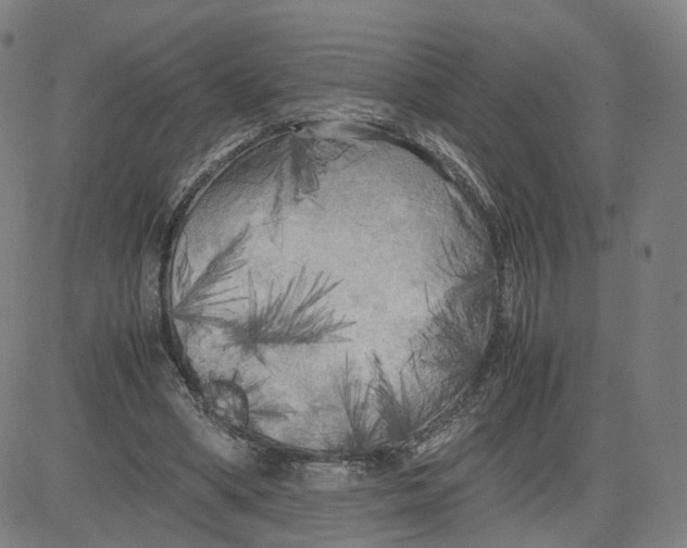 X0000080700394200701050950