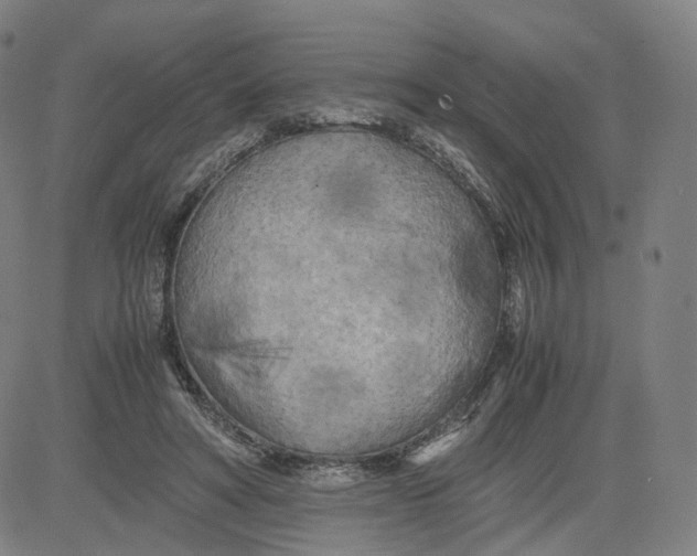 X0000080700402200701050950