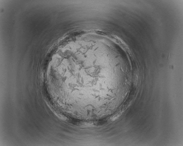 X0000080700405200701050949