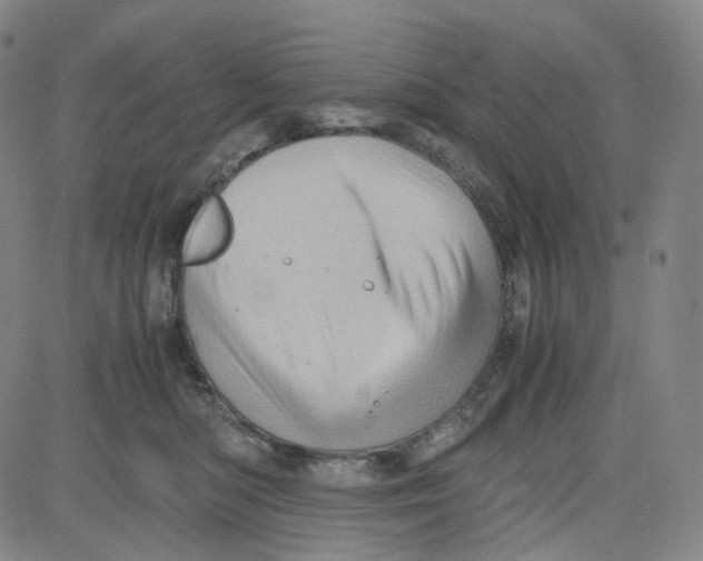 X0000080700422200701050949
