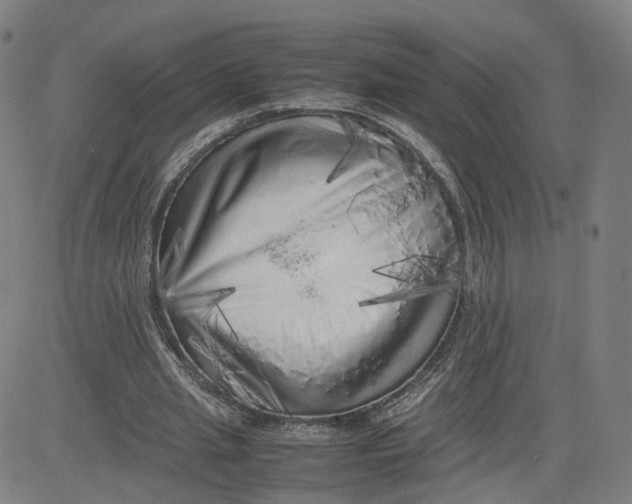 X0000080700437200701050948