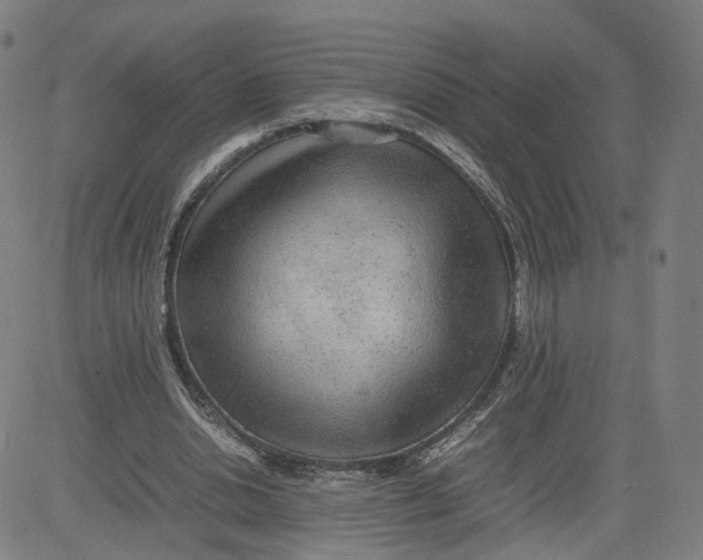 X0000080700438200701050948