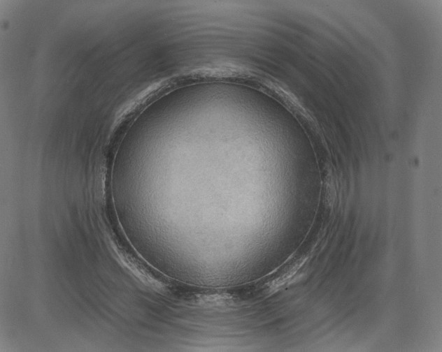 X0000080700446200701050948