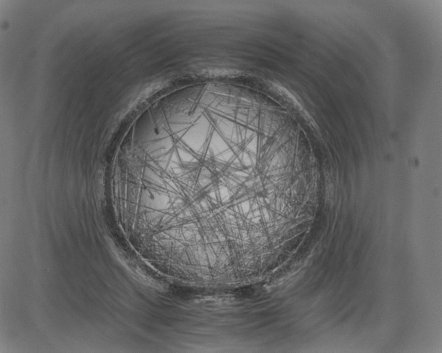 X0000080700447200701050948