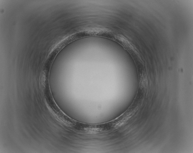 X0000080700448200701050948