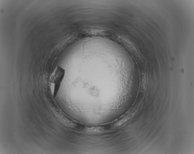 X0000080700461200701050949