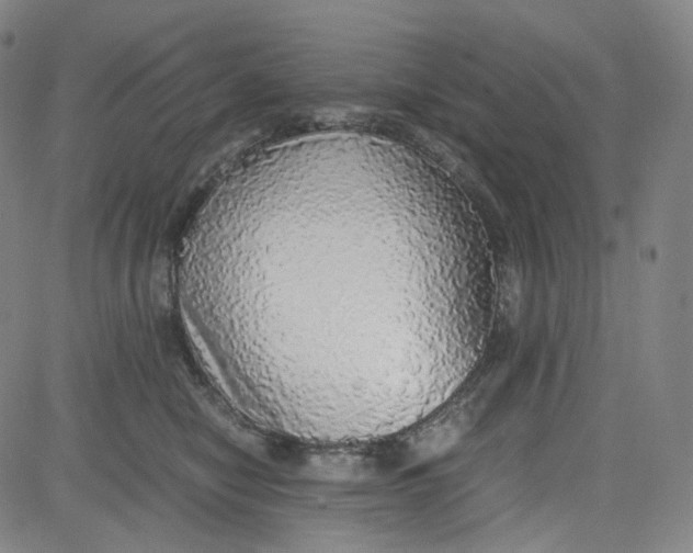 X0000080700470200701050949