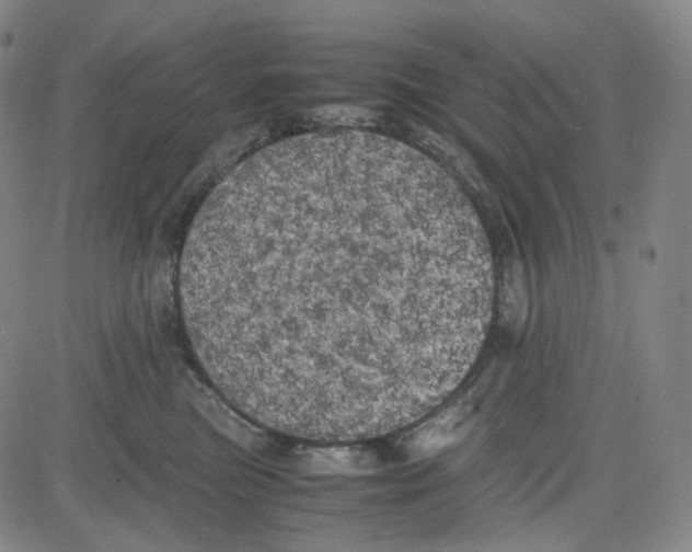 X0000080700473200701050949