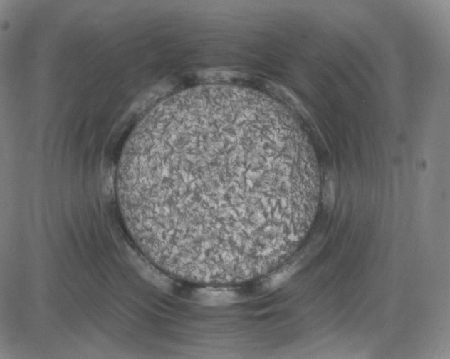 X0000080700477200701050949