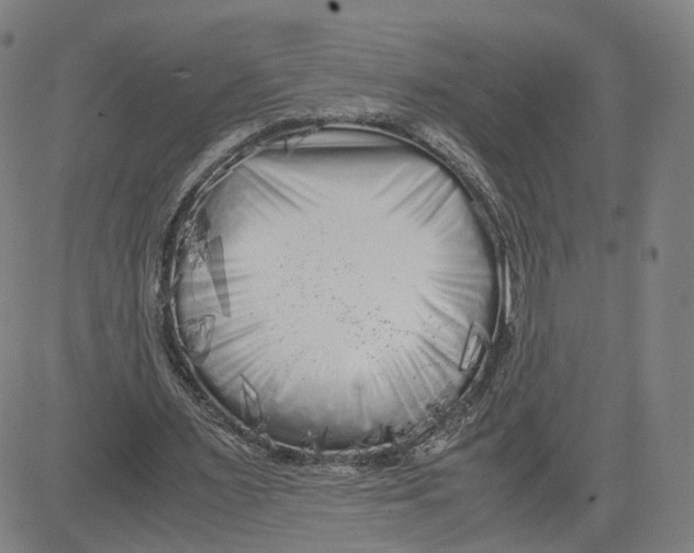 X0000080700483200701050948