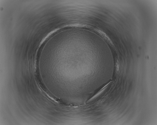 X0000080700484200701050948