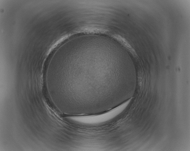 X0000080700488200701050948