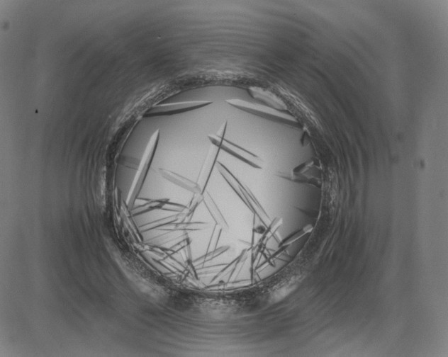 X0000080700494200701050948