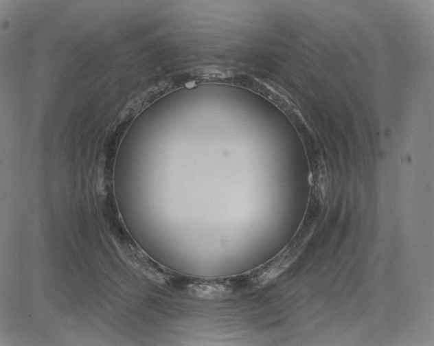 X0000080700512200701050948