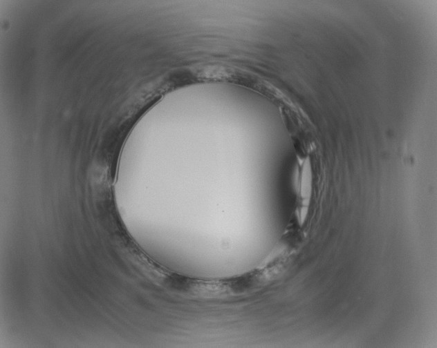 X0000080700521200701050948