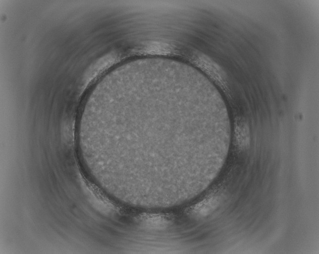 X0000080700534200701050947
