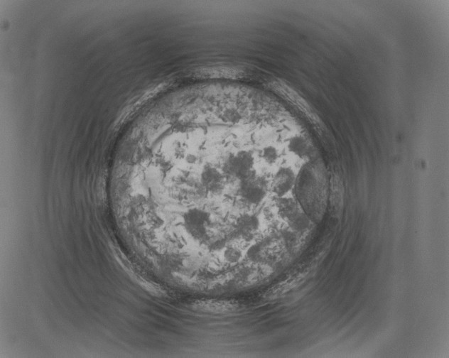 X0000080700537200701050947