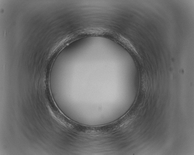 X0000080700538200701050947