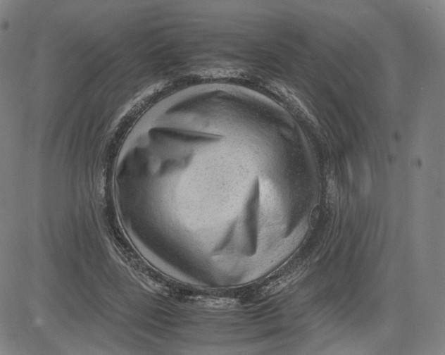 X0000080700539200701050947