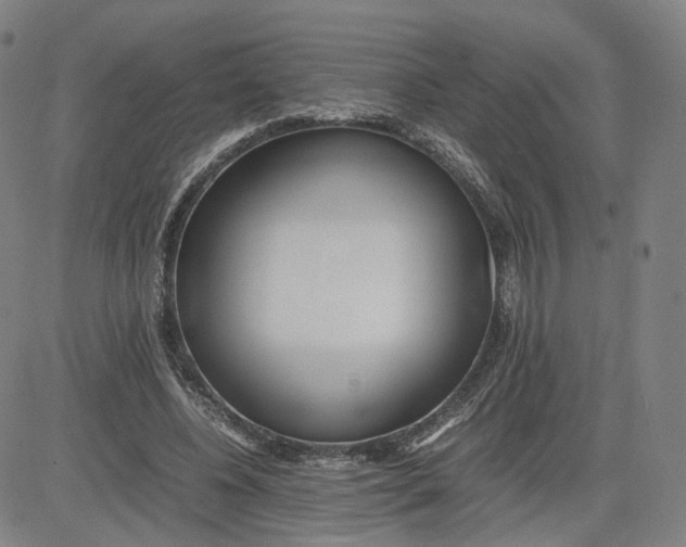 X0000080700540200701050947