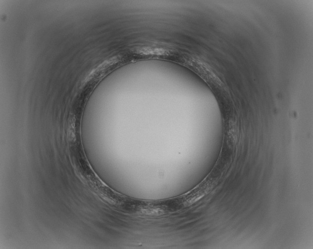 X0000080700547200701050947