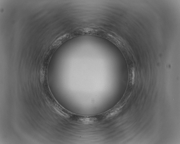 X0000080700558200701050947