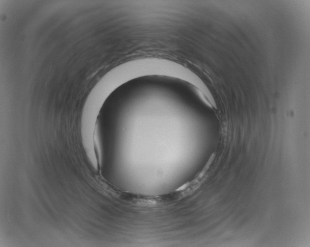 X0000080700572200701050947