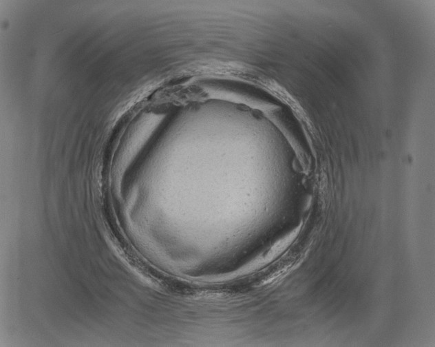 X0000080700581200701050947