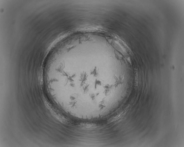 X0000080700582200701050947