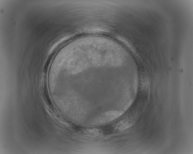 X0000080700583200701050947