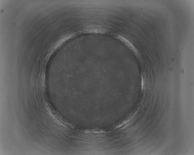 X0000080700627200701050945