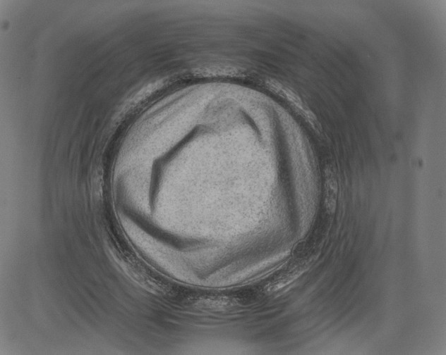 X0000080700631200701050945