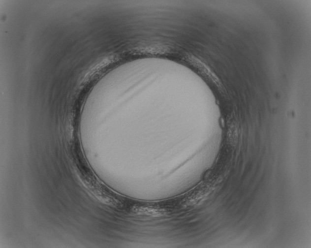 X0000080700635200701050945