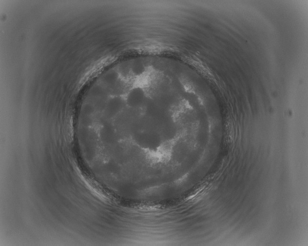 X0000080700638200701050945