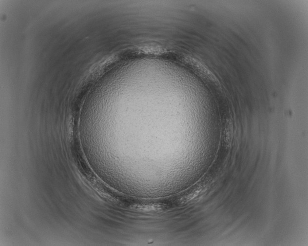X0000080700639200701050945