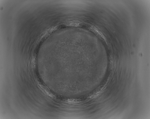 X0000080700641200701050945