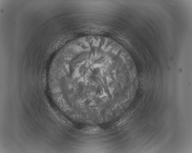 X0000080700642200701050945