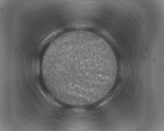 X0000080700644200701050945