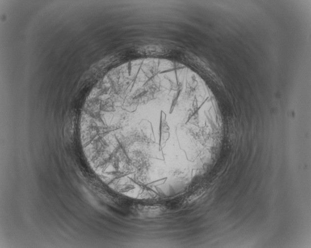 X0000080700645200701050945