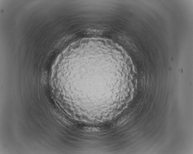 X0000080700649200701050946
