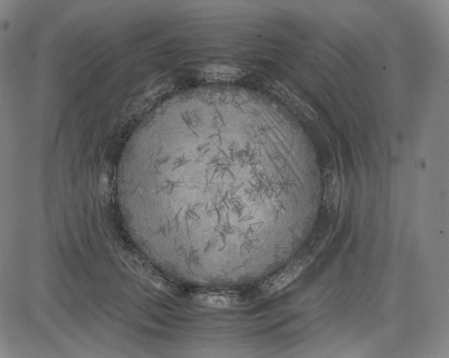 X0000080700655200701050946